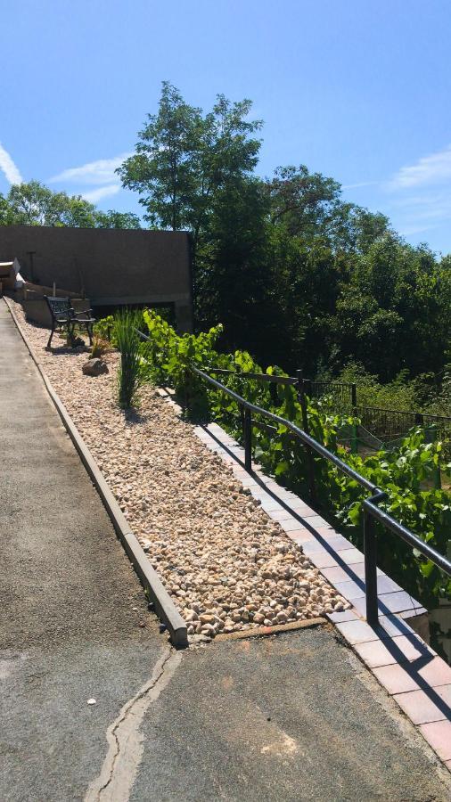 Schlossberg Apartments & Garten In Der Natur & Unweit Vom "Thueringer Meer" Unterwellenborn Εξωτερικό φωτογραφία